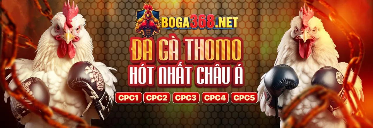 Sòng bạc trực tuyến 79king3 link mới với nhiều trò chơi hấp dẫn và ưu đãi