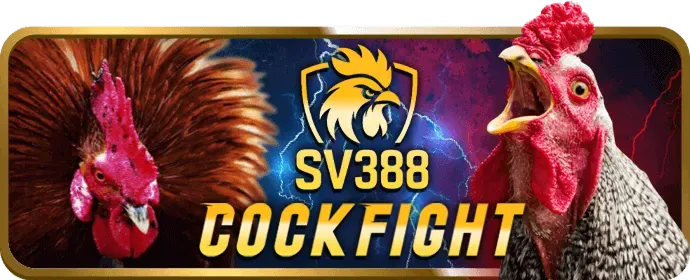 Hướng dẫn chơi casino 79king3
